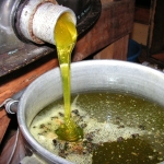 Мёд с осота, василька (сложноцветных) имеет зеленый оттенок