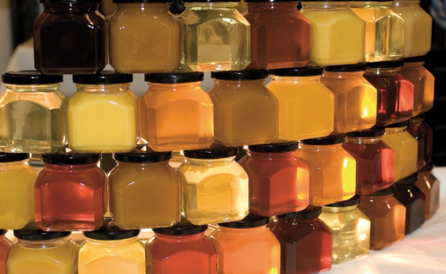 Как определить качественный мед на рынке с первого взгляда
