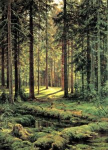 Картина "Хвойный лес"