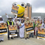 В Европе запретят неоникотиноиды