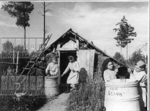  Работницы пасеки колхоза "Белка" Тасеевского района сливают мед в бочки и готовят его к отправке.