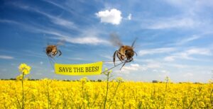 Влияние Неоникотиноидов на здоровье пчел и человека
