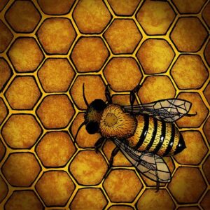 Мобильное приложение BeeScanning для обнаружения клеща Варроа
