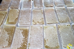 Классные контейнеры под сотовый мёд. Рекомендуем