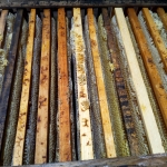 Рамочки на сотовый мёд