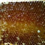 В одной рамке разный мёд