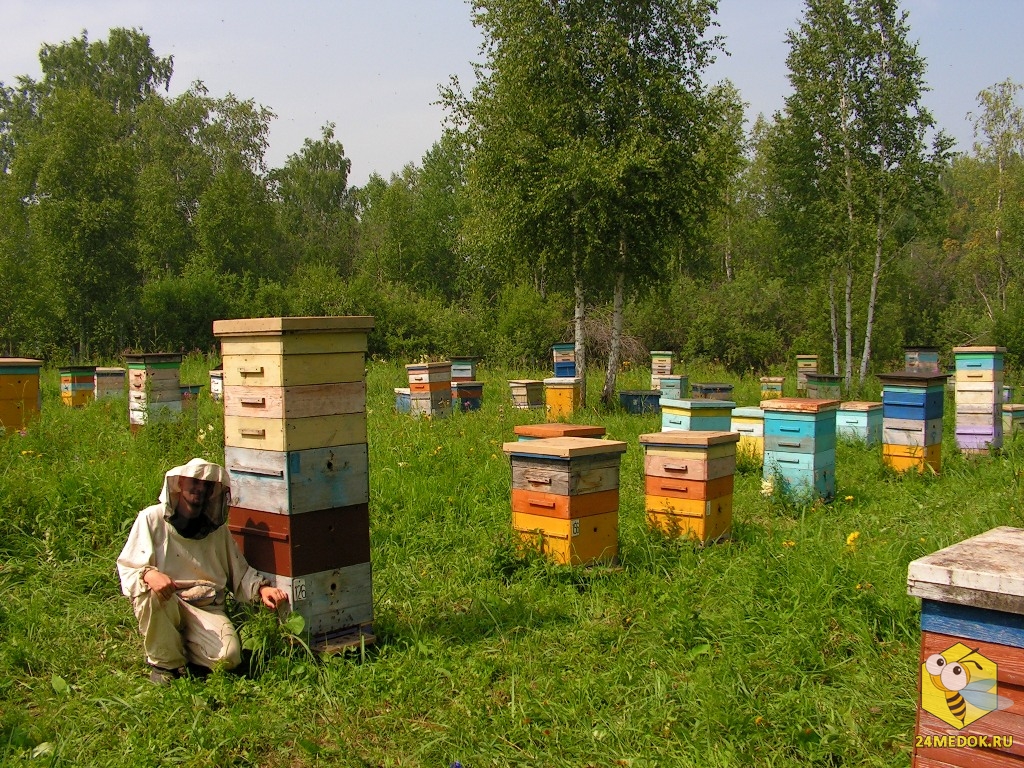 Адреса Магазинов Пчеловодства В Канске Красноярского Края