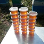 Свежий рапсовый мёд, 21 июля, фото 2