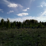 1 июня на кочевом точке