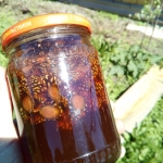 Домашнее варенье из сосновых шишек на меду