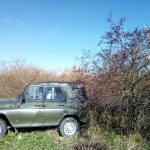 Собирать боярку с крыши Уазика очень удобно