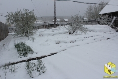Снег на огороде. 18 мая