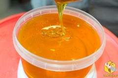 Мёд с василька перистого с пасеки Старчевских