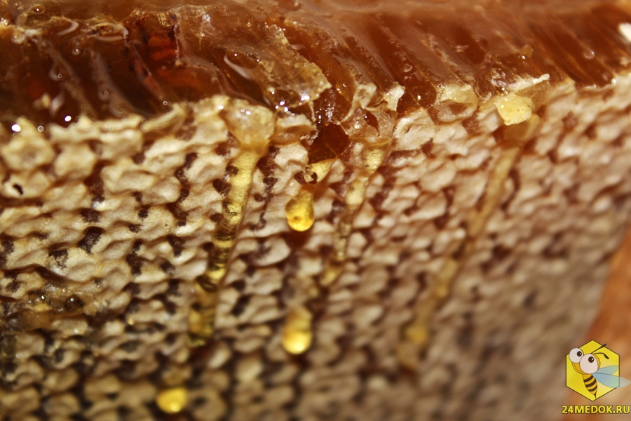 Мёд вытекает из поврежденных ячеек. Этой рамке 17 месяцев