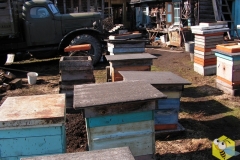 Пчелосемьи ждут поездки на кочевку