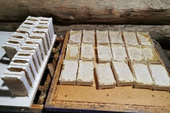 Сотовый мёд в минирамках