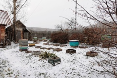 Убрали пчёл на зиму