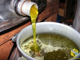 Мёд с осота, василька (сложноцветных) имеет зеленый оттенок