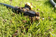 Весной пчелам необходима вода для выращивания расплода