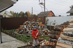 Запас дров на зиму