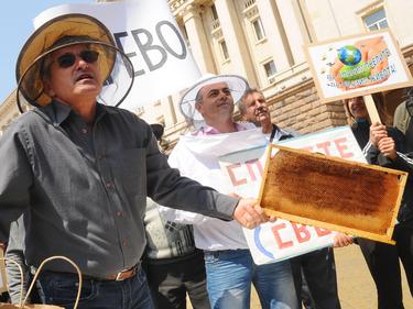 Протест пчеловодов в Болгарии
