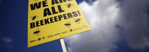 Протест против пестицидов в Британии