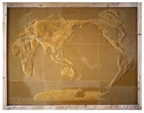 Карта мира построенная пчелами