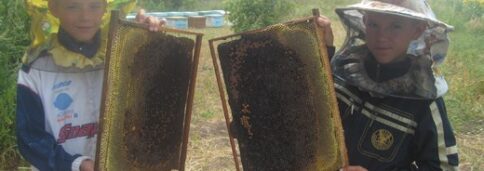 Пчеловоды школьной пасеки