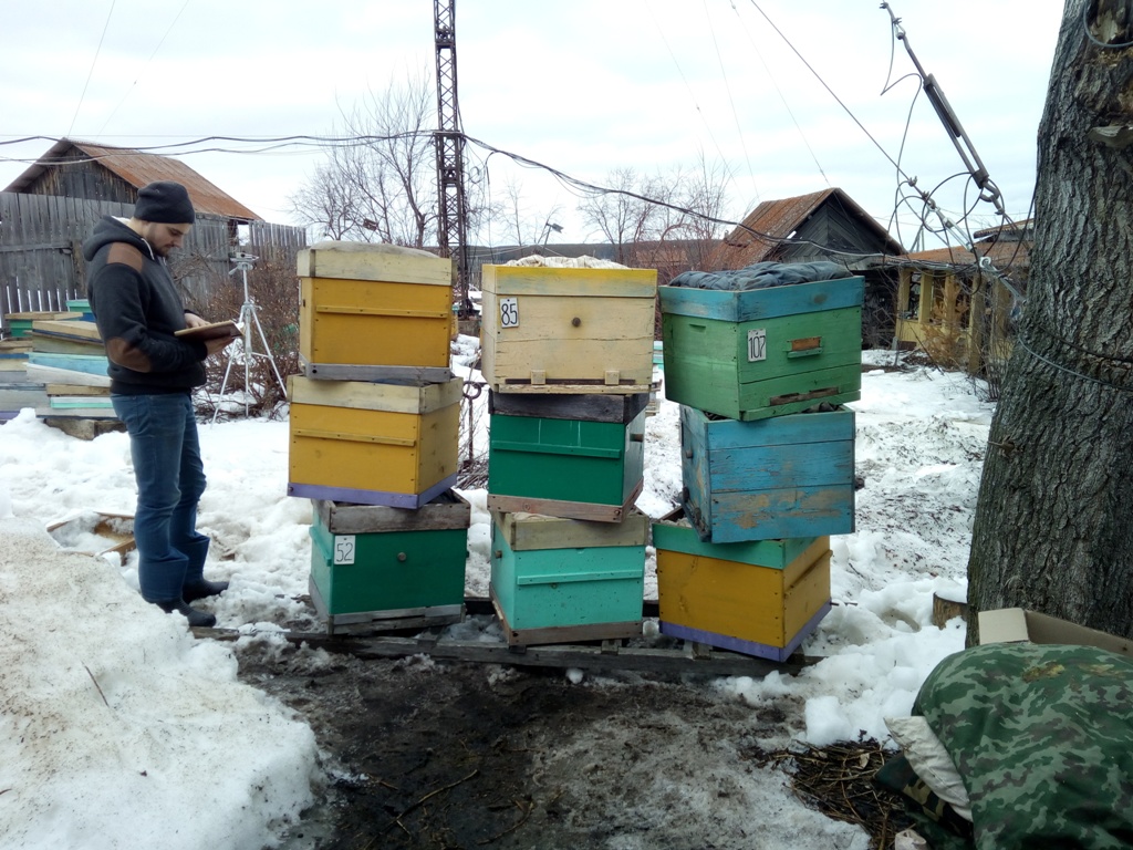 Выставка пчёл, 2019