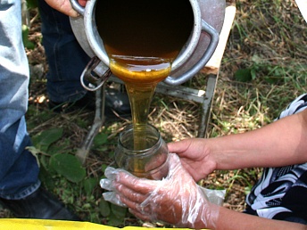 Армянский мёд планируют экспортировать в Европу с 2014 года