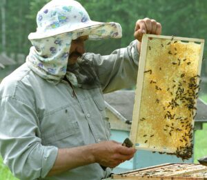 Пчеловод Тюхтетского района